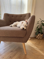 Armchair DRAMMEN Boucle Brown