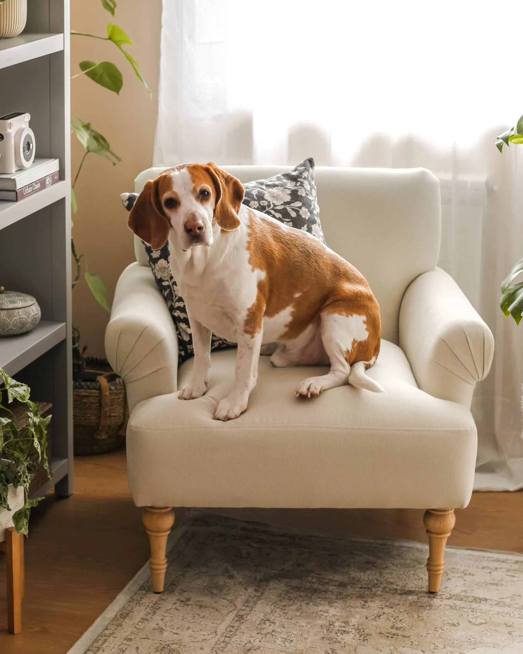 Armchair FREDROS Fabric Light Beige