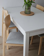 Set of 2 Dining Chairs SCANDIA Wood Light Grey