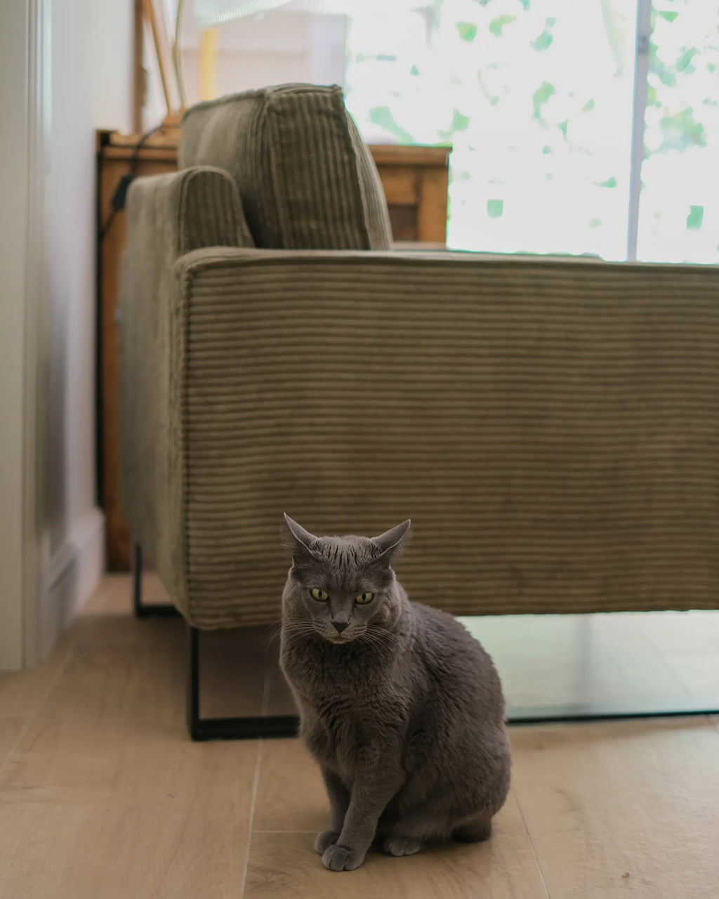 Armchair VIND Corduroy Green