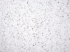 Side Table ANTELAO 37 cm 37 cm Terrazzo Effect White Terrazzo