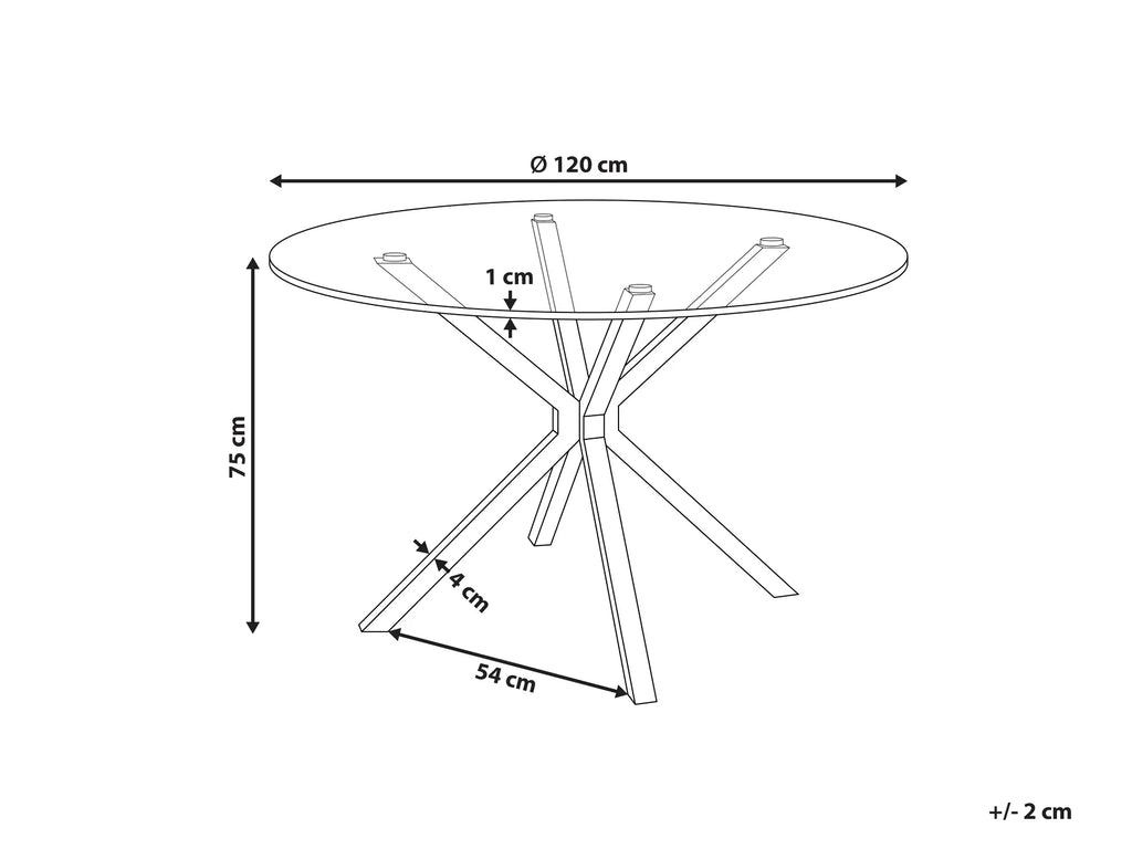 Dining Table MESTON Black 120 cm 120 cm Tempered Glass