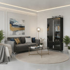 Elise Black High Gloss And Grey 1 Glass Door Display Cabinet